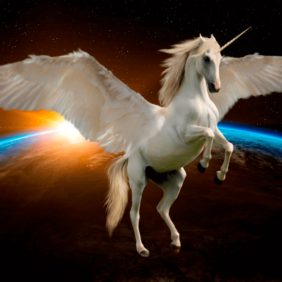 what-is-a-unicorn-start-up-company-clarify-the-meaning-of-a-start-up